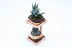 Copper and wood dual succulent planter stand with modern hexagon pots.
