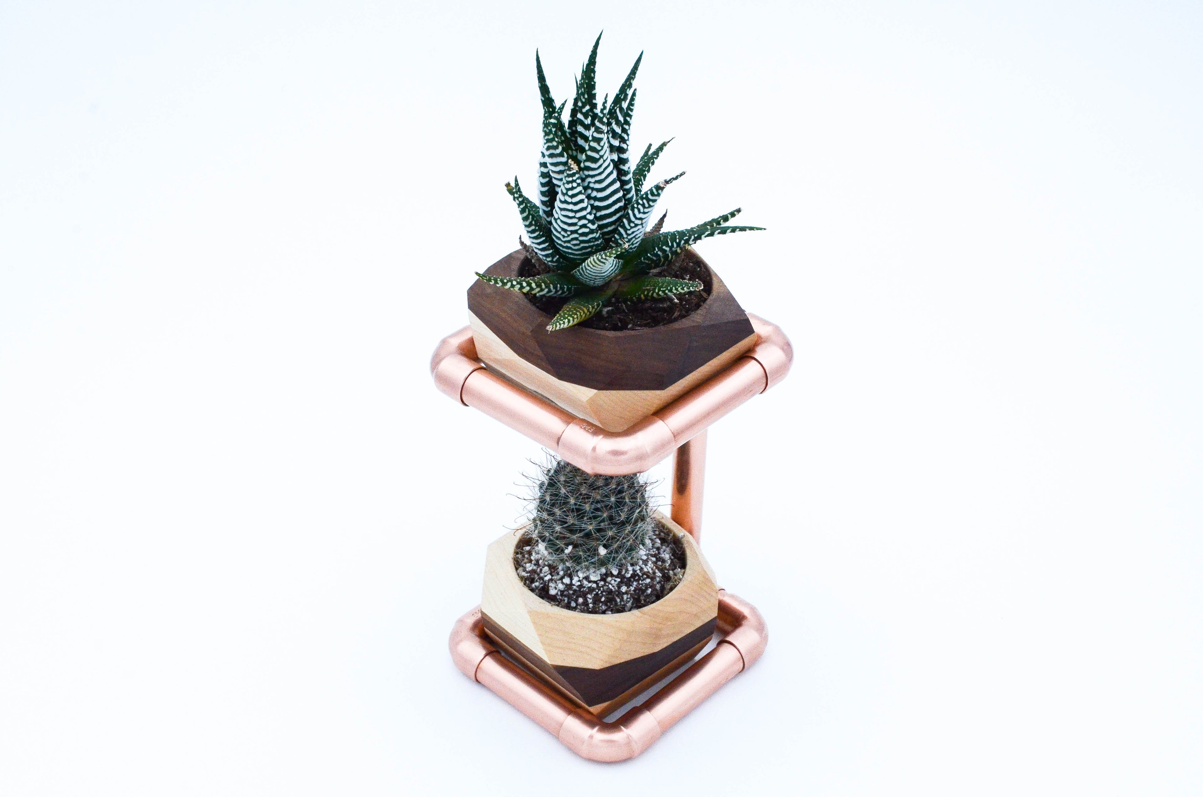 Copper and wood dual succulent planter stand with modern hexagon pots.
