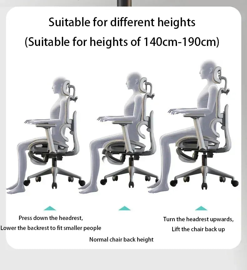 Ergonomic Gaming & Office Chair | Adjustable Back Support