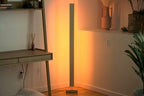 Pinwheel Home Decor Black Walnut / Color LED Hardwood LED Floor Lamp