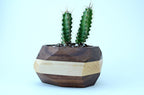 Pinwheel Home & Garden Black w/White Stripe Geometric Wood Succulent Planter