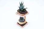Pinwheel Home & Garden Geometric Double Wood Planter