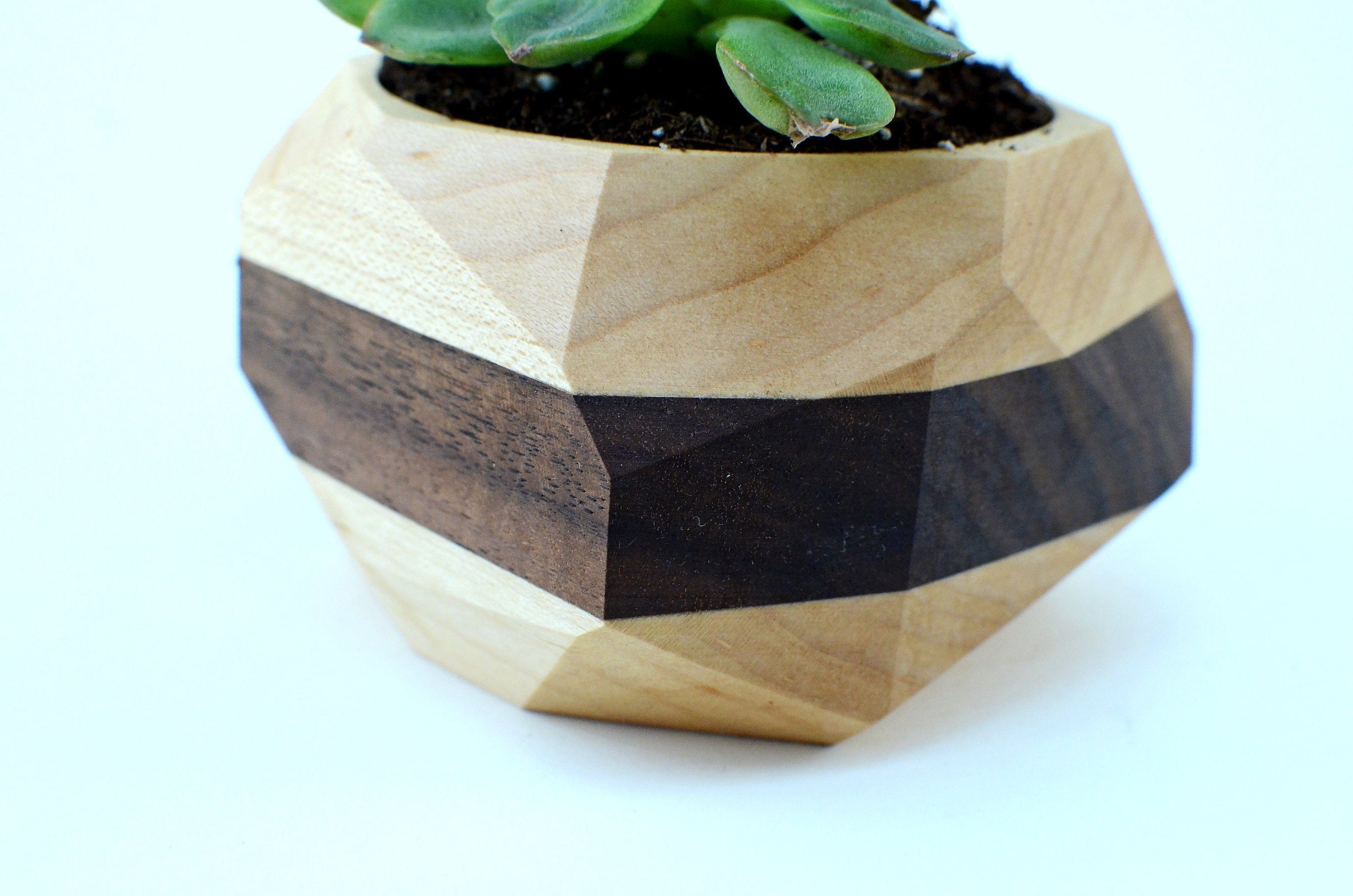 Pinwheel Home & Garden Geometric Wood Succulent Planter