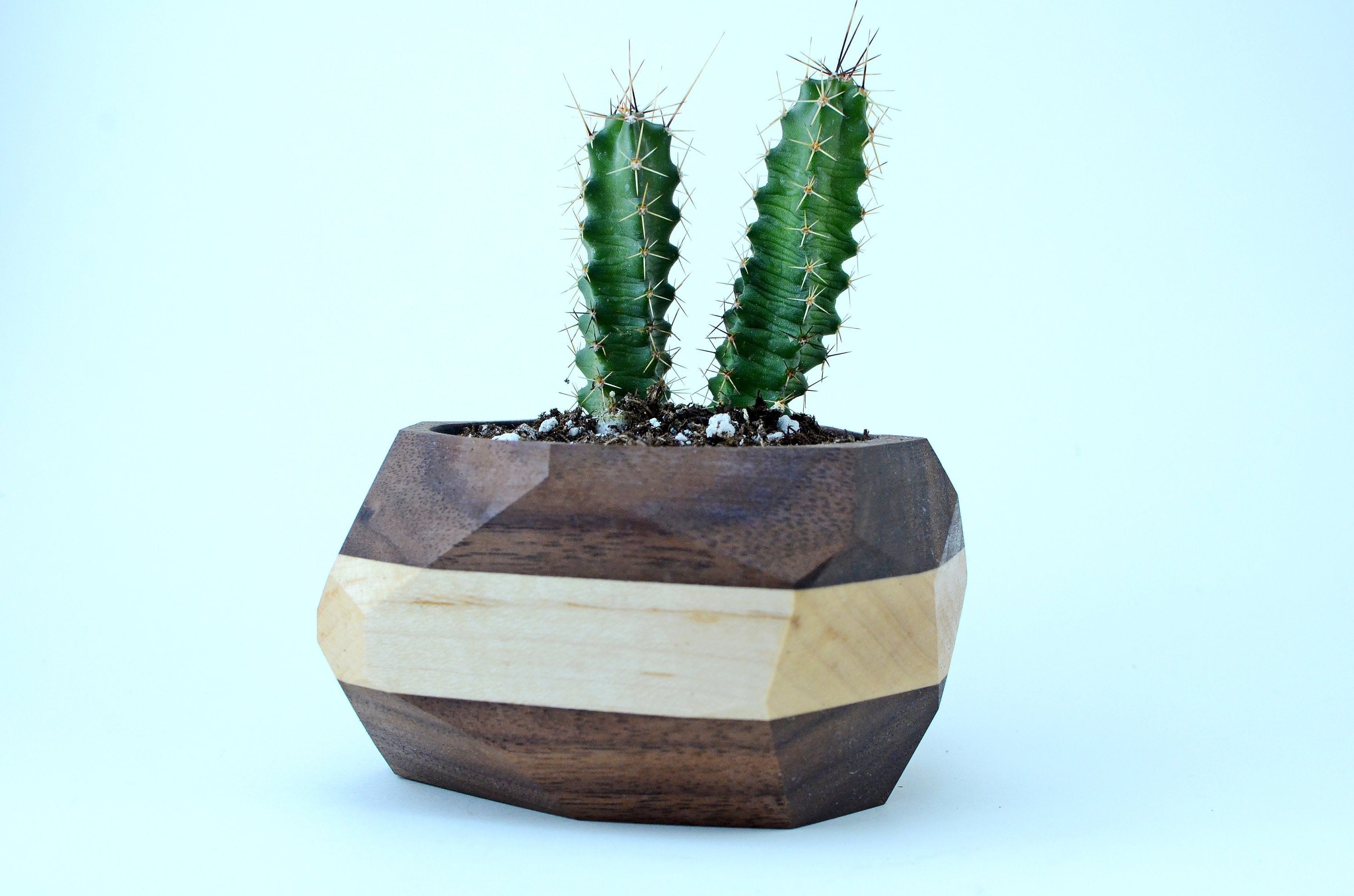 Geometric wooden planter with cactus for modern minimalist decor.
