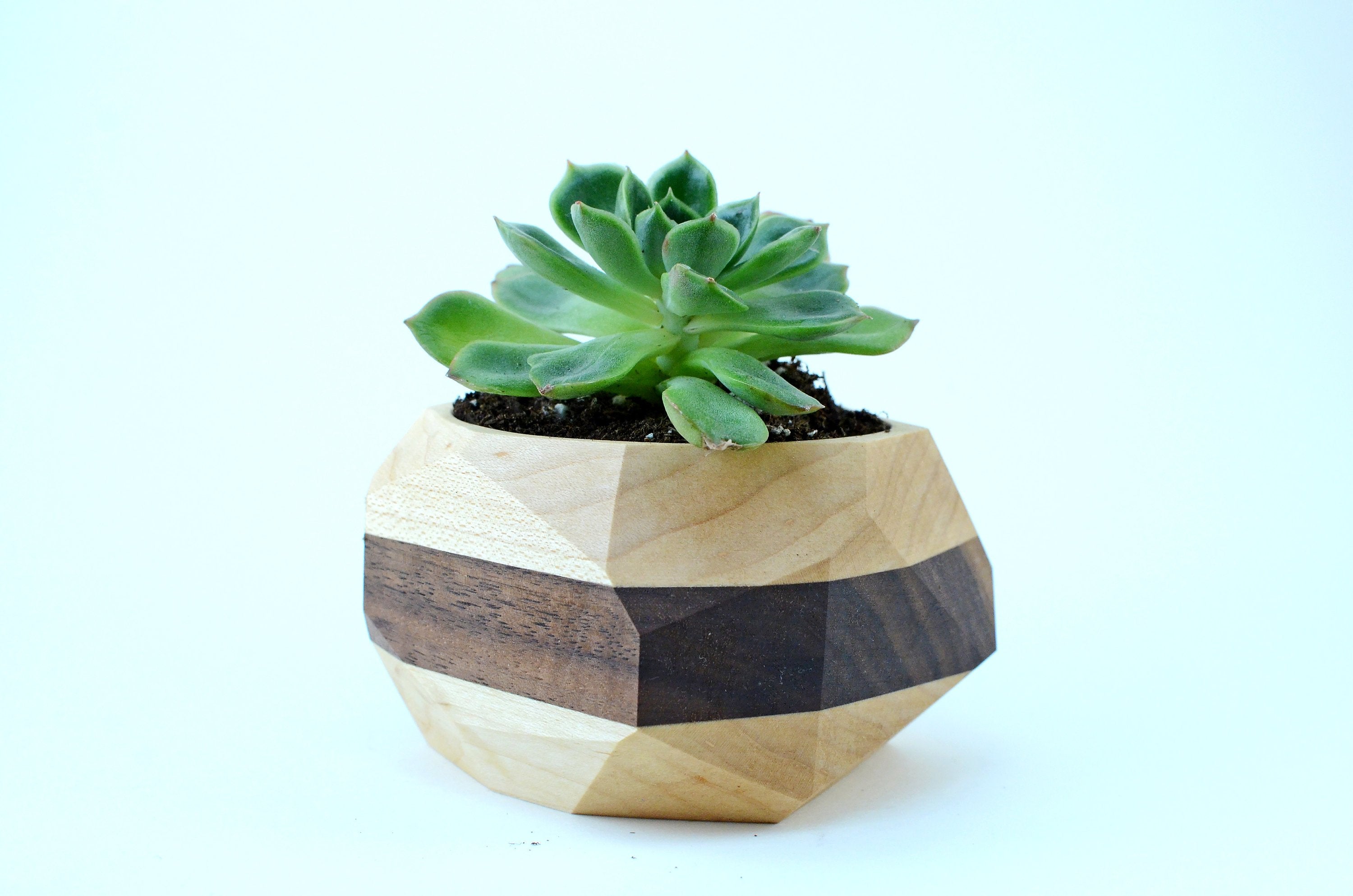 Handcrafted geometric wooden planter with succulent for modern home decor.

