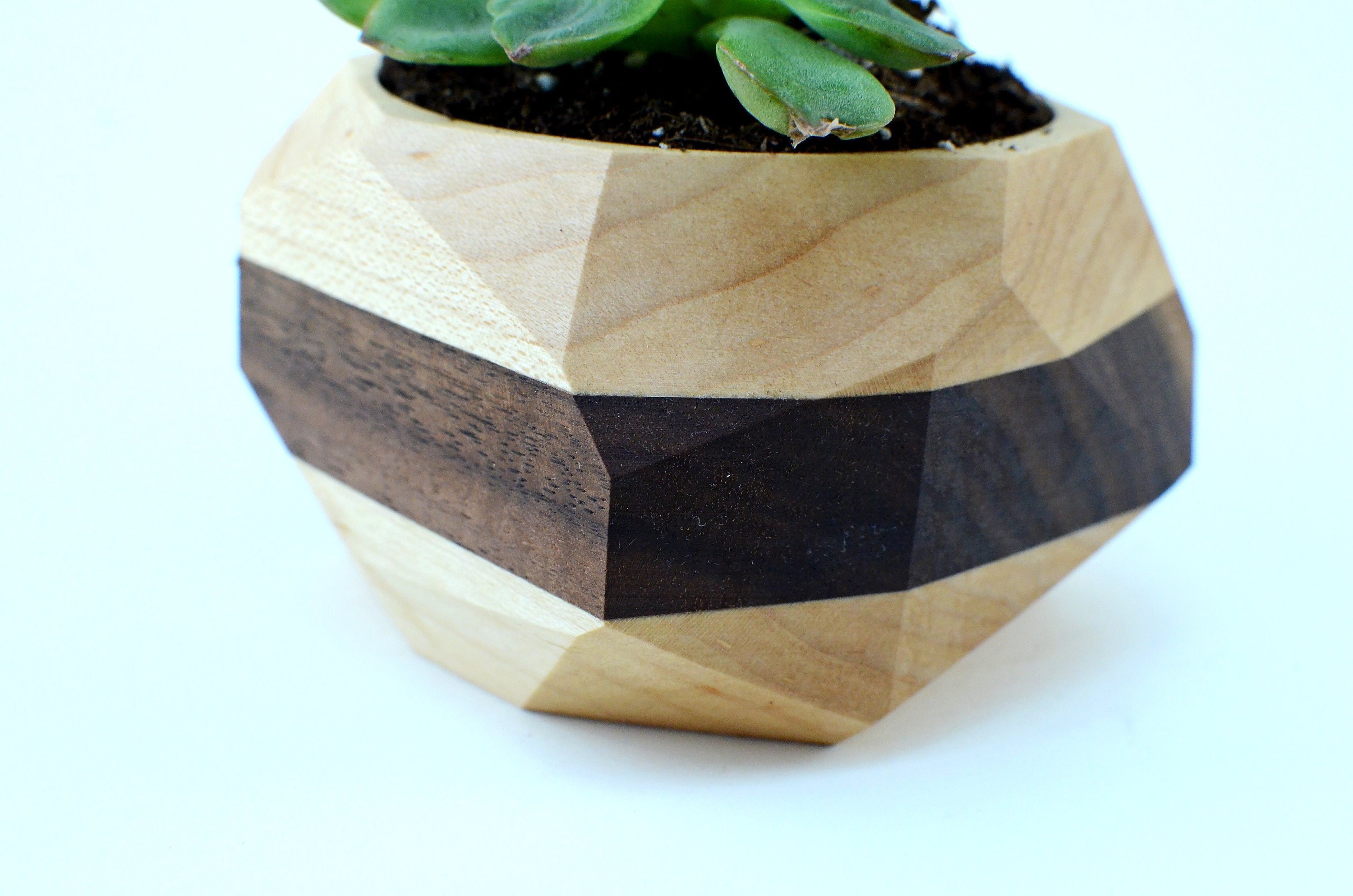 Handmade geometric wooden planter with succulent for stylish indoor decor.
