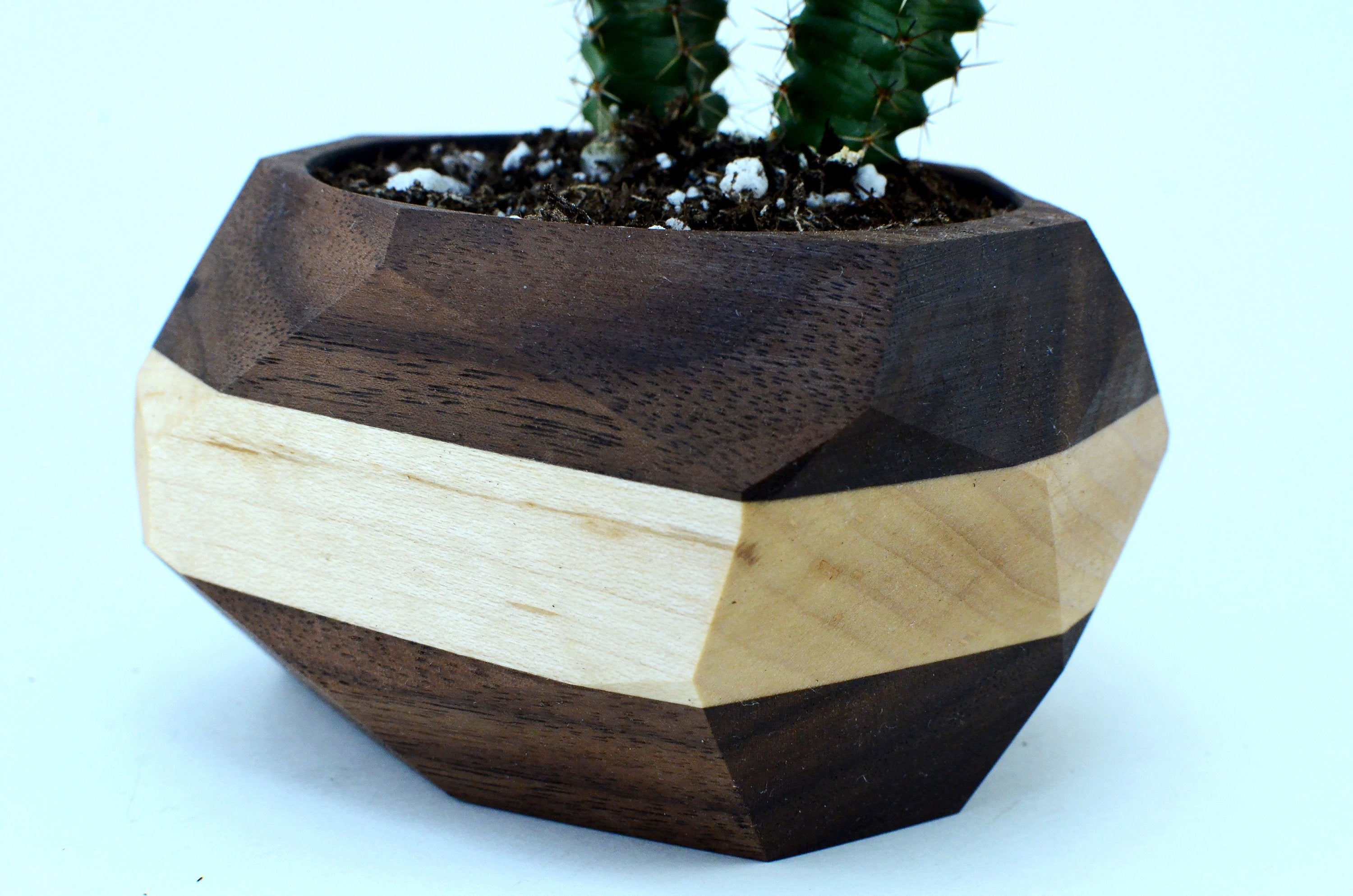 Geometric two-tone wooden planter with cactus for modern home decor.
