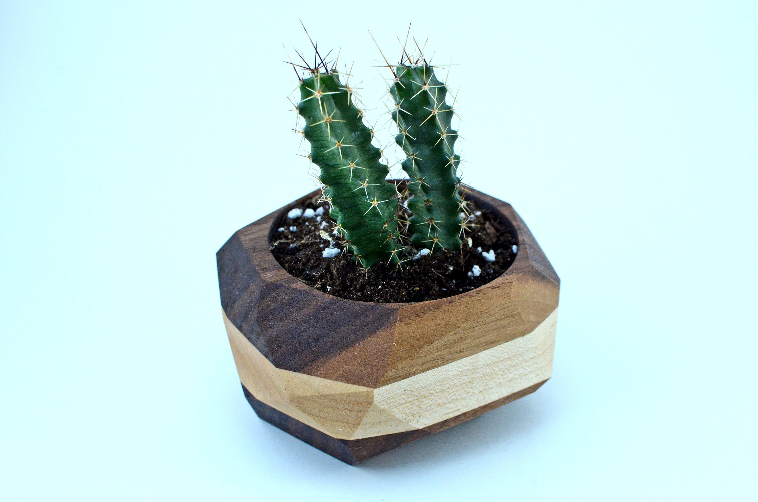 Modern geometric wooden planter with cactus for stylish indoor decor.
