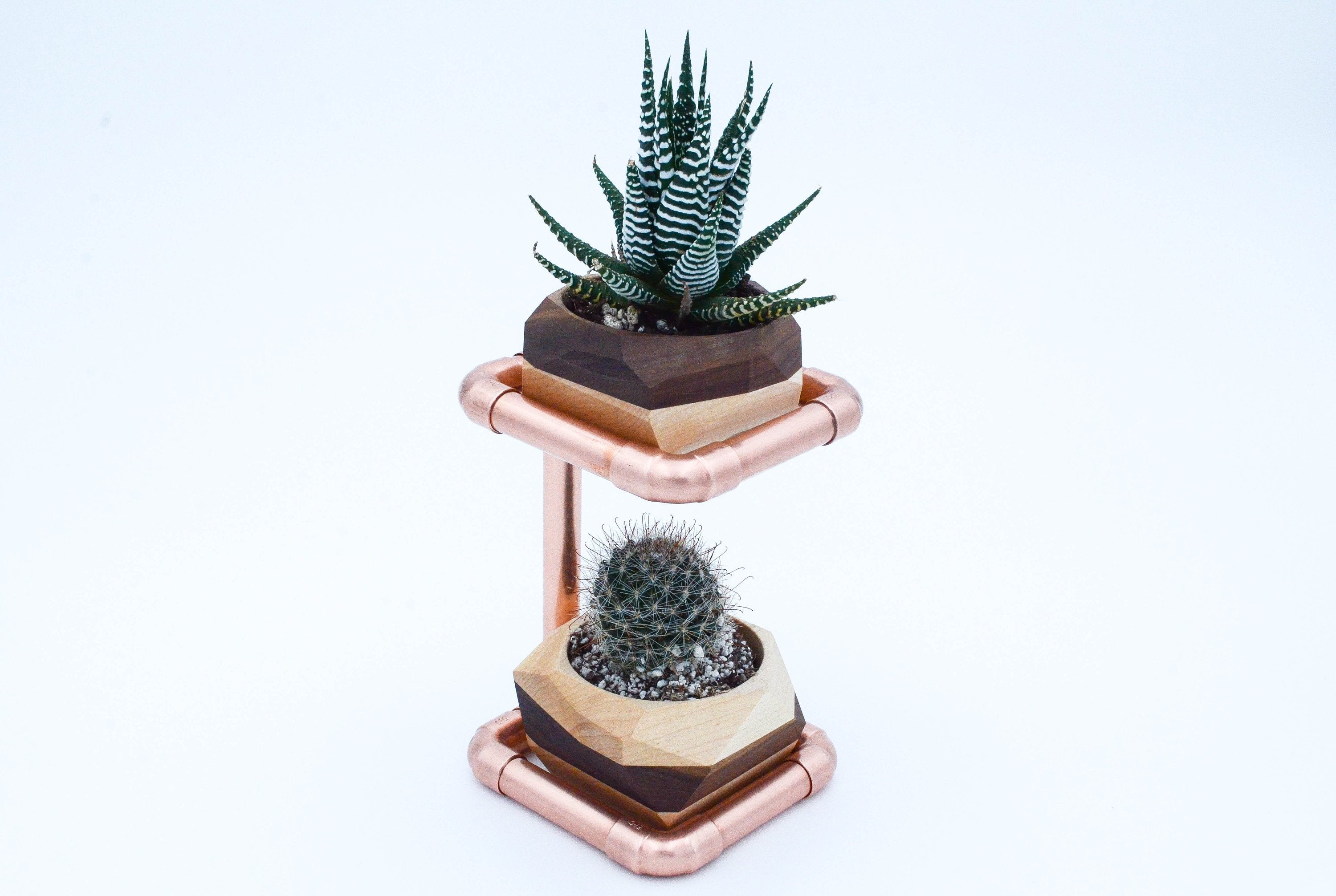 Modern copper and wood succulent planter stand with dual hexagon pots.
