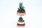 Stylish copper and wood two-tier succulent planter with hexagon pots.
