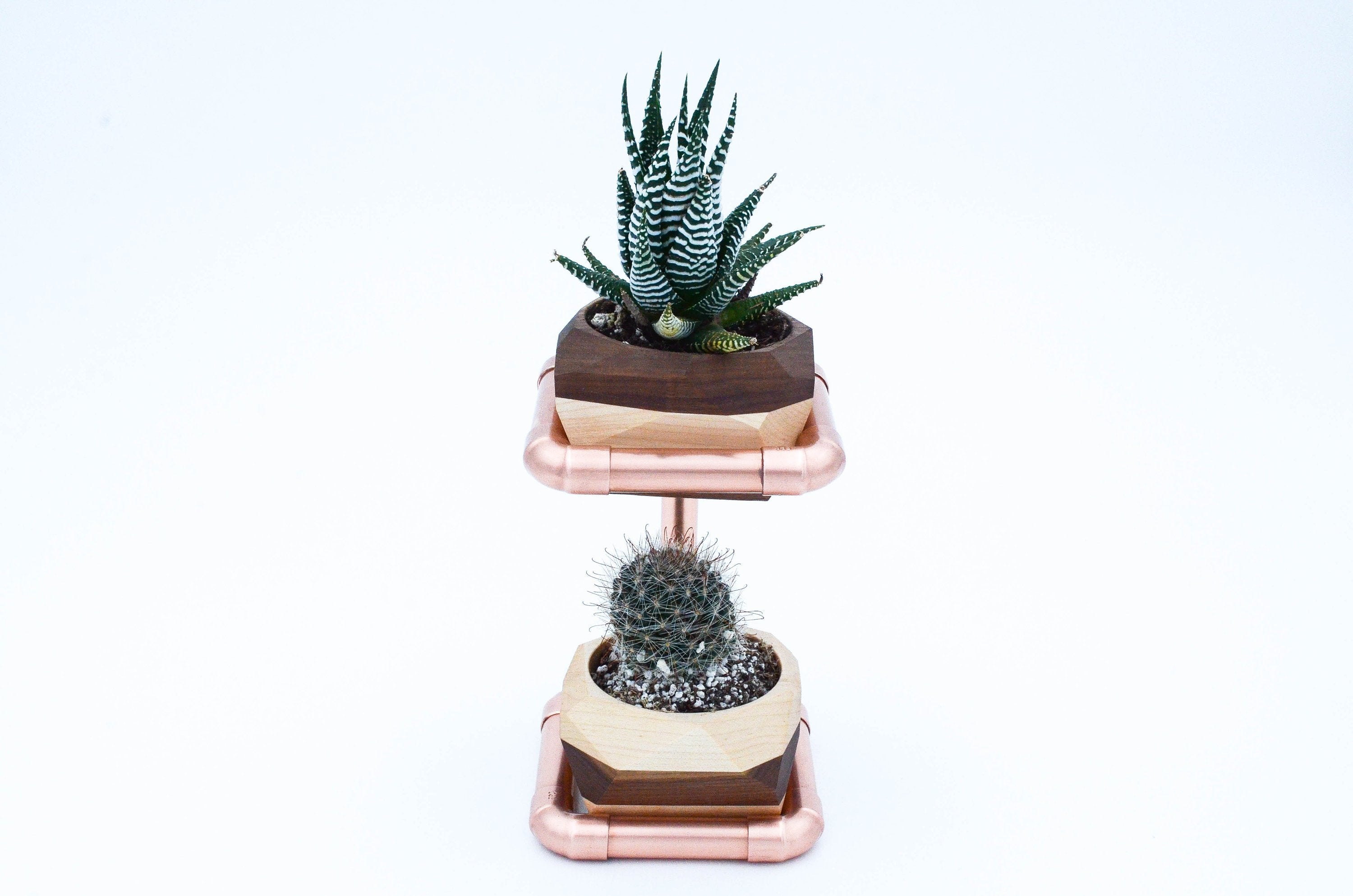 Stylish copper and wood two-tier succulent planter with hexagon pots.
